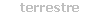 terrestre